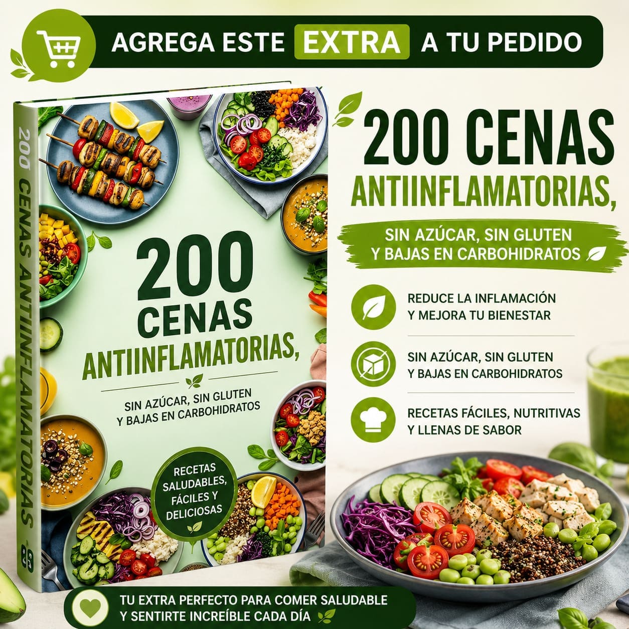 200 Cenas Antiinflamatorias